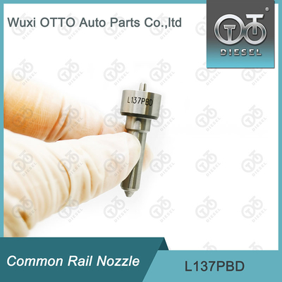 Inyectores EJBR02401Z/02901D/03701D, 33800-4X800 de L137PBD Delphi Common Rail Nozzle For